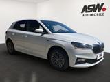 Skoda Fabia Tour 1,0MPI 80PS SHZ PDC Kamera Smart Link - Skoda Fabia: Weiß