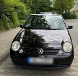 Volkswagen Lupo 1.4 44kW Princeton Faltdach - Volkswagen Lupo: Faltdach
