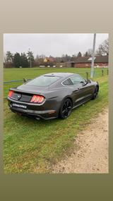 Ford Mustang 2.3 EcoBoost Fastback - gebrauchte Ford Mustang aus dem Jahr 2020