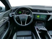 Audi e-tron - Vorschau Bild 8