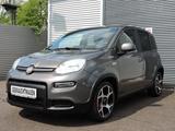 Fiat Panda Sport Mild Hybrid 1.HD+scheckheft HU NEU - Fiat Gebrauchtwagen von 2021