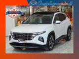 Hyundai Tucson 1.6 crdi 48V Exellence dct TETTO- - Behindertengerechte Hyundai TUCSON