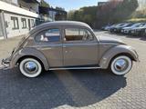 Volkswagen Käfer Ovali Export - Oldtimer