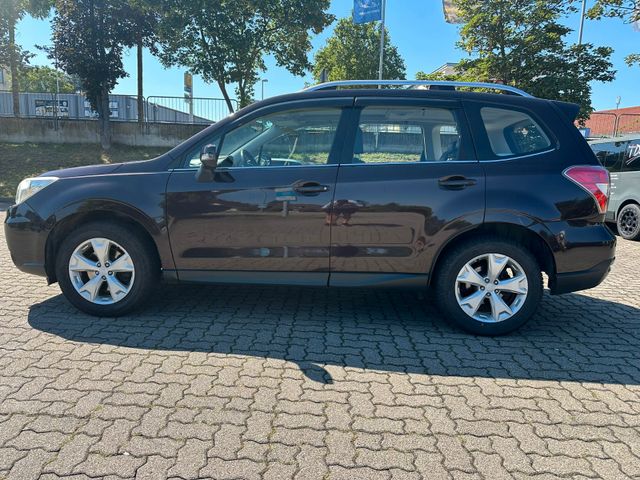 Subaru Forester Platinum / Leder / Panoramadach