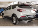 Opel Grandland X Innovation 1.2 Voll-LED 360-Kam Wint - Opel Grandland (X) in Dortmund
