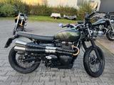 Triumph Street Scrambler 900 - TRIUMPH STREET SCRAMBLER