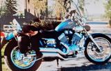Yamaha Virago 535 - YAMAHA 1994 VIRAGO 535