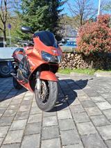 Honda CBR 900 RR SC33 - Angebote