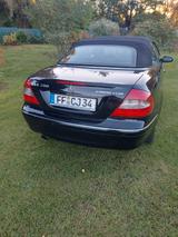Mercedes-Benz CLK 200 KOMPRESSOR AVANTGARDE AVANTGARDE - Mercedes-Benz CLK-Klasse Gebrauchtwagen in Berlin
