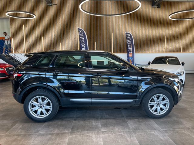 Land Rover Range Rover Evoque Pure Aut. *LEDER*MERIDIAN*