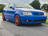 Volkswagen VW Polo 6N2 Colour Concept 101PS 16V Sonde... - Volkswagen Polo: Colour Concept