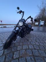 Harley-Davidson V rod  - HARLEY-DAVIDSON V ROD