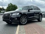 Audi Q5 3.0 TDI quattro S line Pano ACC Unfallfrei 1A - Audi Q5 Gebrauchtwagen in Frankfurt