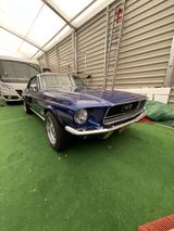 Ford Mustang - Ford Mustang in Chemnitz