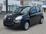Fiat New Panda - Fiat New Panda Gebrauchtwagen