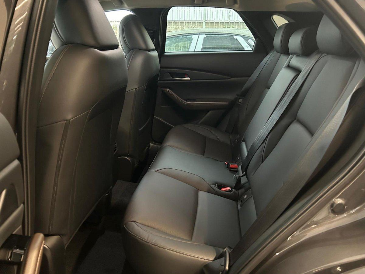 Mazda CX-30 Takumi 186 PS *GSD*Leder*Kamera*, миниатюра 20
