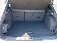 Cupra Terramar - Vorschau Bild 20