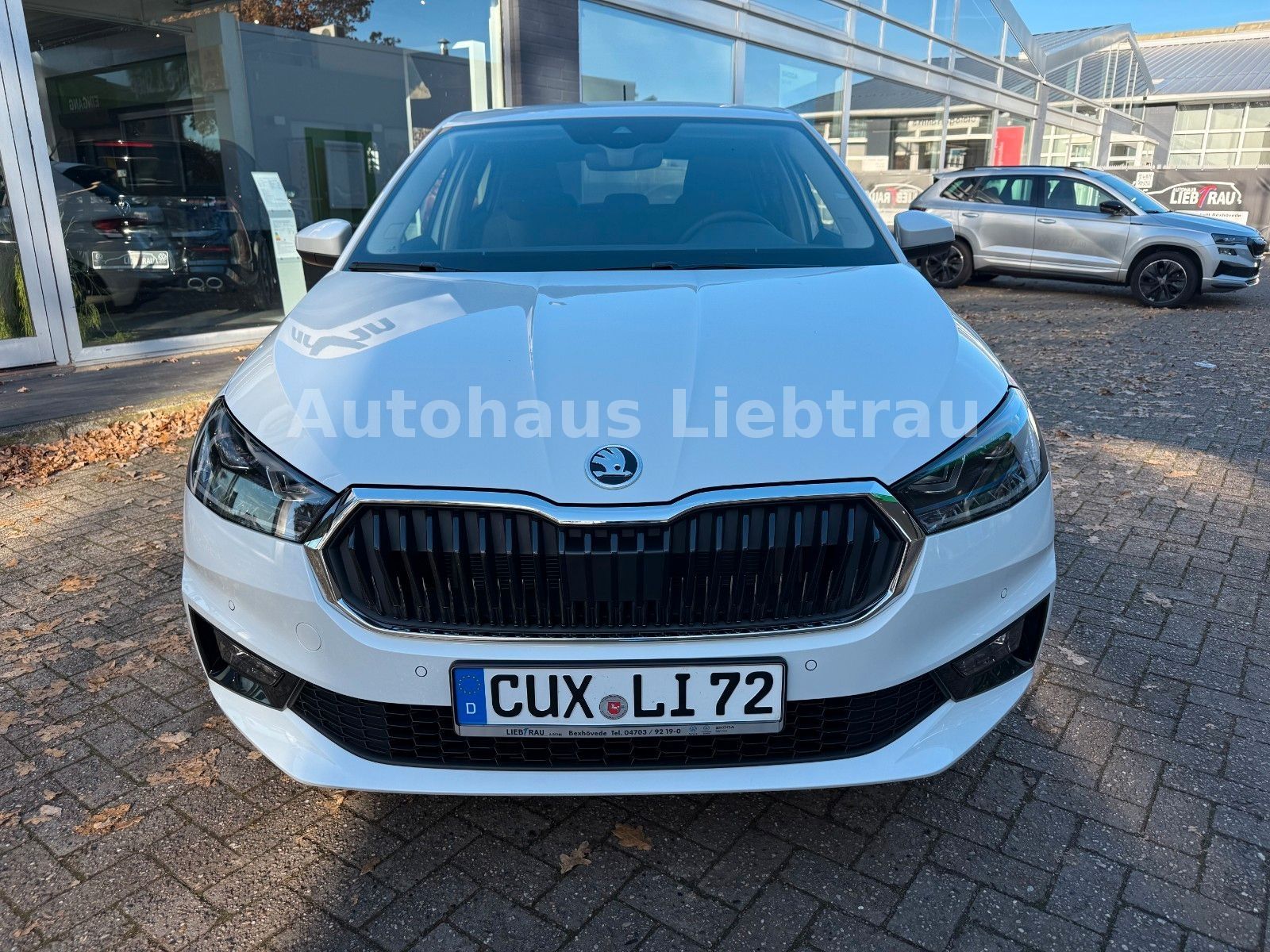 Skoda Fabia - Bild 3