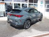 Cupra FORMENTOR 2.0 TSI  DSG 4DRIVE 5 J. GAR.* AHZV  - Cupra Formentor: Limousine
