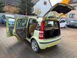 Fiat Panda 1.2 8V Emotion KLIMAAUTOMATIK - Fiat Panda Gebrauchtwagen in Braunschweig