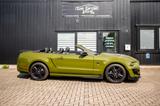 Ford Mustang shelby GT500 - Ford Mustang: Cabrio, Shelby