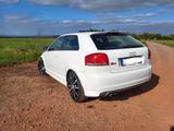 Audi S3 8P 2.0 TFSI - Audi S3 mit Benzin-Antrieb: Sportwagen