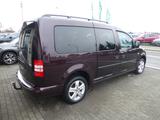 Volkswagen Caddy Maxi Comfortline 7-Sitzer - Volkswagen Caddy: Comfortline