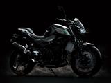 Kawasaki Z 500  2024 Führerscheinbonus von 500,-€  mgl. - KAWASAKI 500Z
