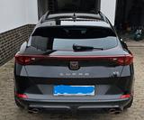 Cupra Formentor 2.5 TSI 450 PS VZ5 ABT 4Drive DSG - Cupra Formentor ABT Gebrauchtwagen
