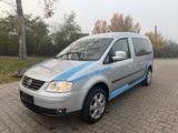 Volkswagen Caddy Maxi Life Team/7 SITZER/1 HAND/KLIMA/ - Volkswagen Caddy: Team