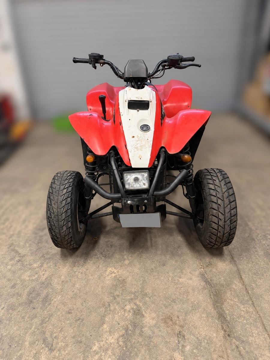 Polaris Trail Blazer 2008 — photo 6