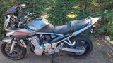 Suzuki  Bandit 650  - Suzuki Motorräder in Dortmund