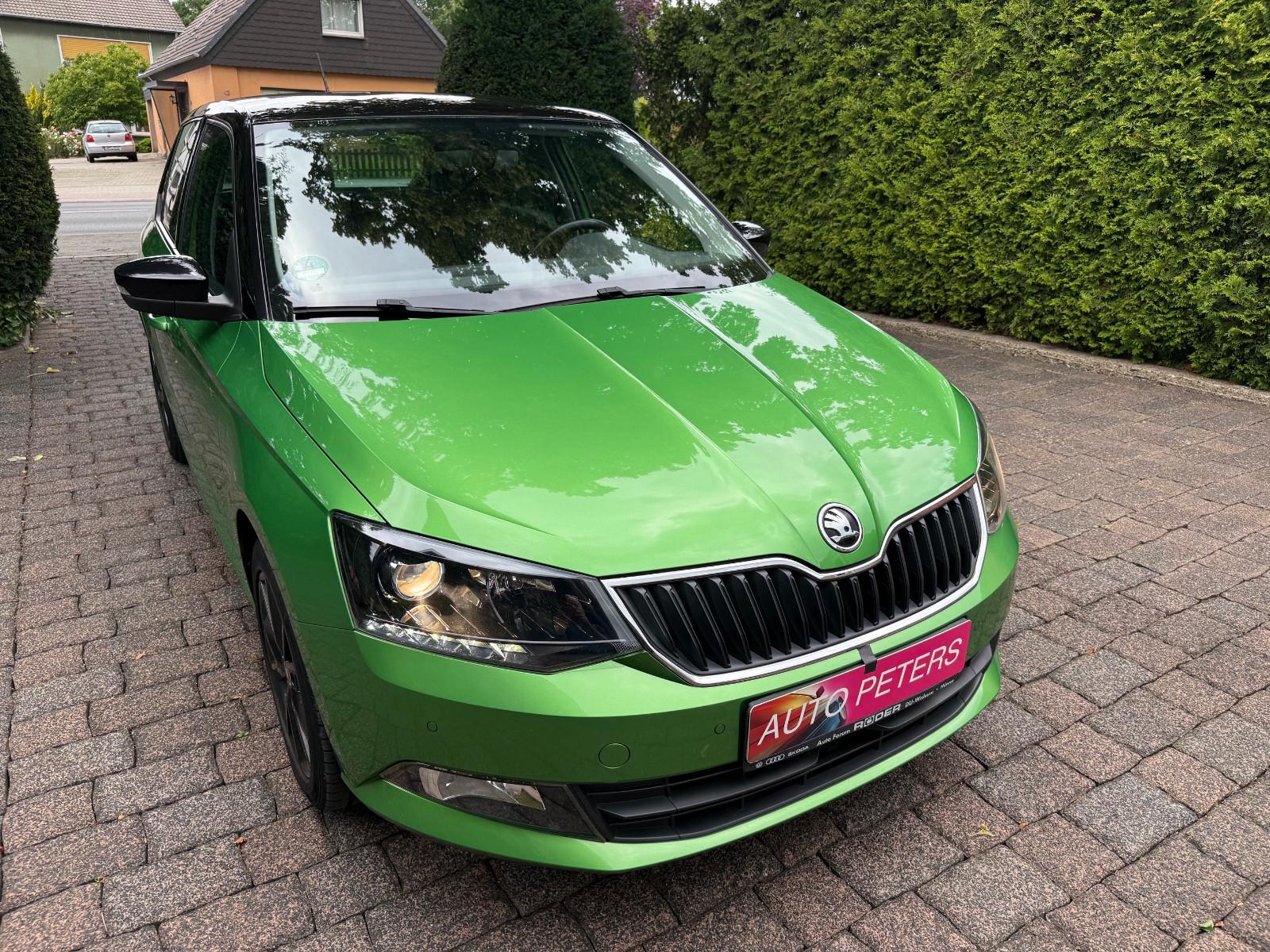 Skoda Fabia Style, sehr gepflegt