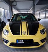 Volkswagen Beetle GSR 2.0 TSI DSG Sport Xenon Panoramadach  - Volkswagen Beetle: Automatik