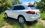 Porsche Cayenne Turbo Turbo Tiptronic Pano Thermotronic - Porsche: Weiß