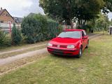 Volkswagen Golf 1.9TDI 74kW Champ Champ - Volkswagen Golf: Champ