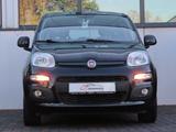 Fiat Panda 1.2 8V LOUNGE Klimaanlage PDC - Fiat Panda Gebrauchtwagen in Düsseldorf