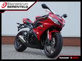 Triumph Daytona 675 *Sozius Abdeckung* - SPORTLER VON 501 BIS 750 CCM