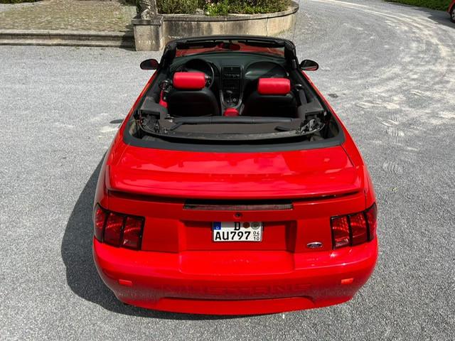 Ford Mustang Leder