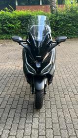 Honda Forza 350 Matt Cynos Gray "NEUWERTIG" - HONDA FORZA 350