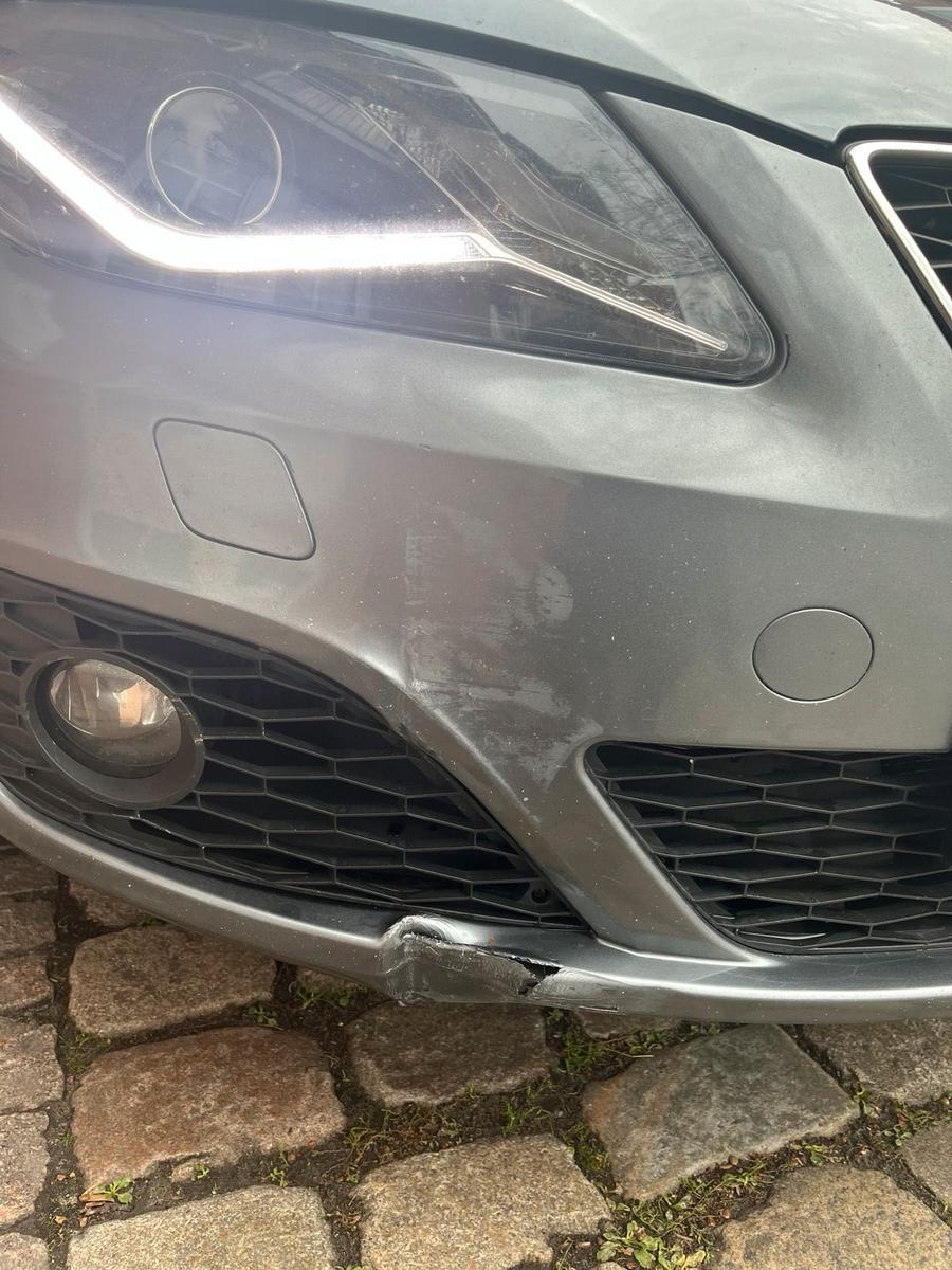 Seat Exeo 2013 — photo 10