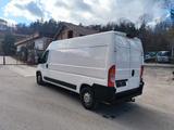 Peugeot Boxer 2.2 Diesel 160 PS  - Peugeot Boxer in Stuttgart