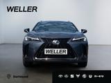 Lexus UX 300h F SPORT Design *LED*Kamera*SHZ*PDC v+h* - graue Lexus UX