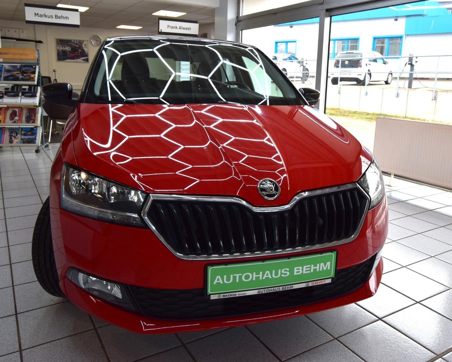 Skoda Fabia Ambition/1.0 TSI 95PS/SHZ/KAMERA