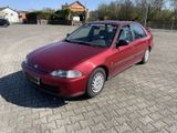 Honda Civic 1.5 EG8 Limousine - Honda Civic aus 1992