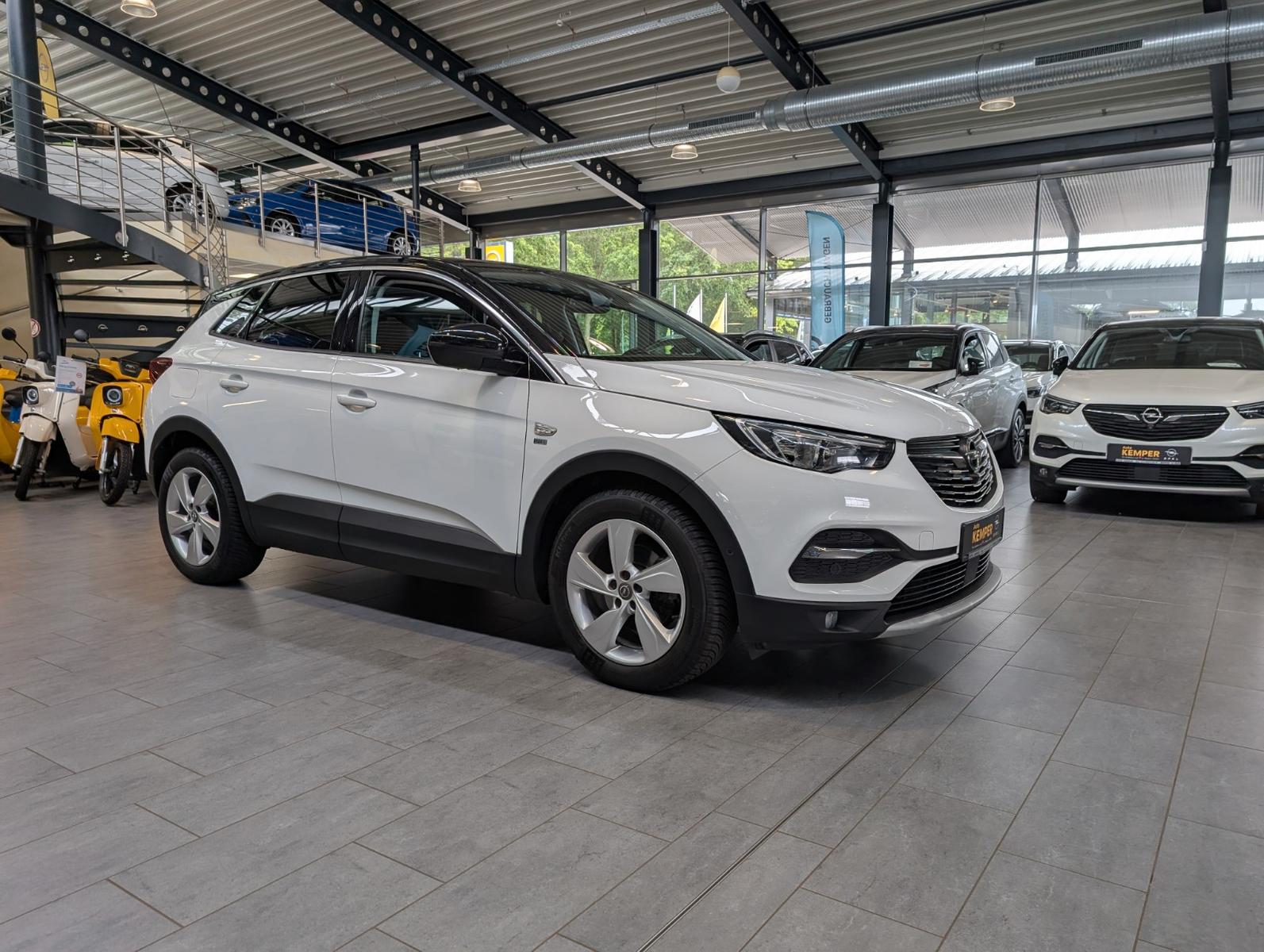 Opel Grandland Navi Kamera SHZ LHZ TWW AHK Allwetter