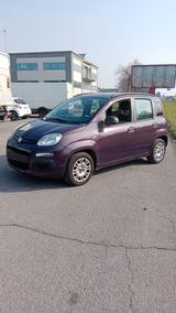 Fiat Panda 1.2 EasyPower Classic - Fiat Panda Classic