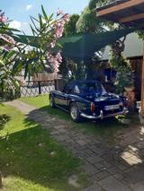 Triumph TR5 - aus 1968: Cabrio