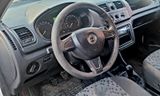 Skoda Praktik - Skoda Praktik: Van
