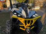 Can-Am Can-am Renegade 1000r | LOF | Viel Zubehör |  - CAN-AM 1000